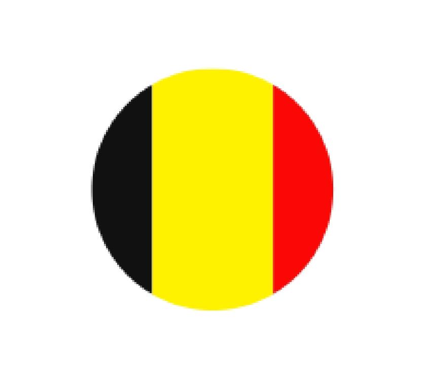 flaga Belgii 2